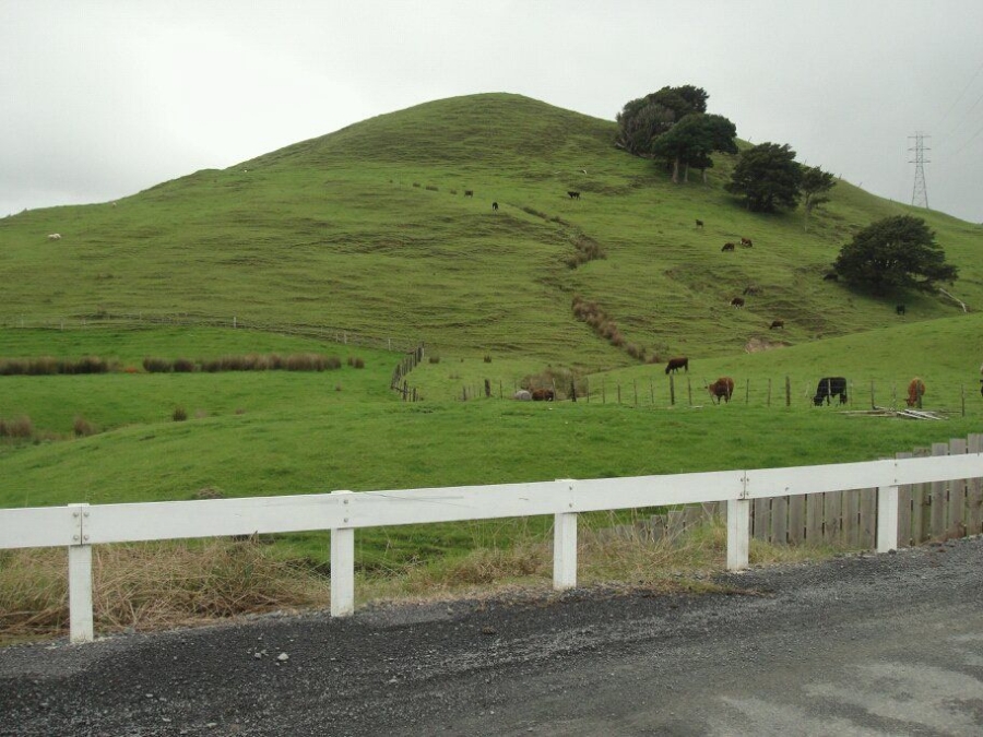 Gloje_Photo_201104NZ_003.JPG