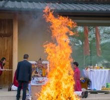 Gloje_Photo_20140525_069