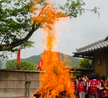 Gloje_Photo_20140525_070