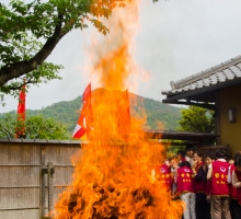 Gloje_Photo_20140525_073