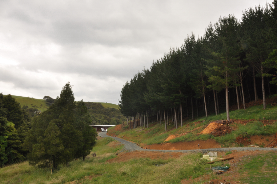 Gloje_Photo_2010NZ_006.JPG