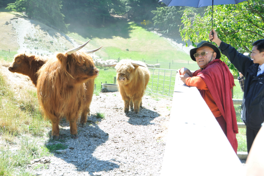 Gloje_Photo_2010NZ_022.JPG