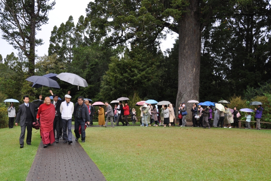 Gloje_Photo_201104NZ_040.JPG