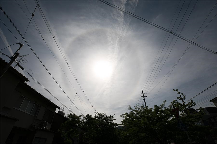 02_gloje_20180512_japan