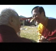dvd_video-7.jpg