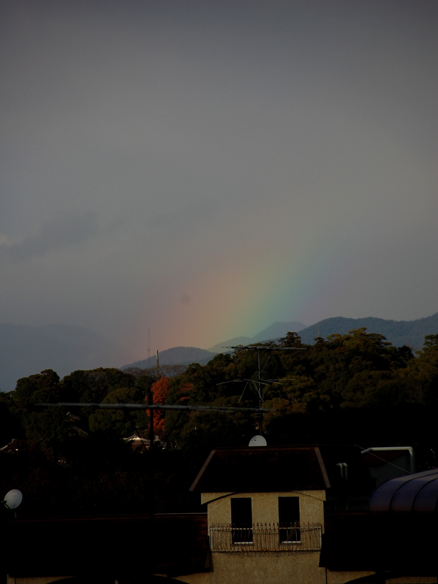8-16-15.jpg