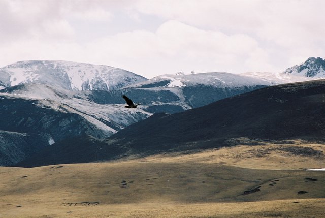 0519-034.jpg