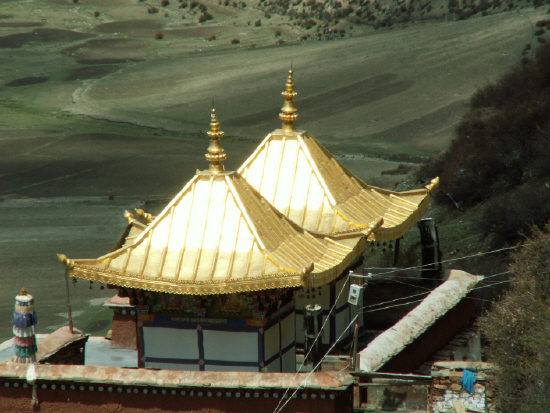 drikungthilgold.jpg